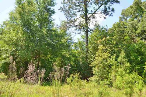 213 Lewis Dr, Perry, FL 32348 photo 14