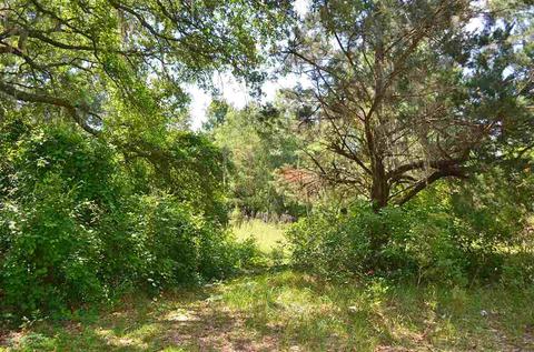 213 Lewis Dr, Perry, FL 32348 photo 11