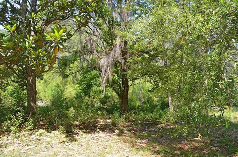 213 Lewis Dr, Perry, FL 32348 photo 12