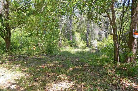 213 Lewis Dr, Perry, FL 32348 photo 13