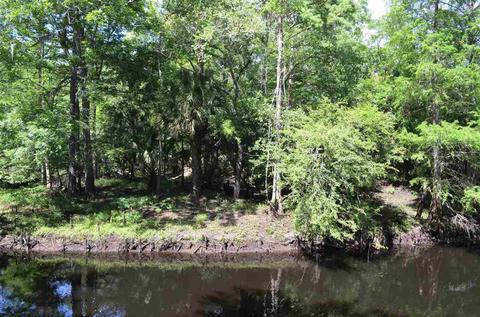 2322 NE Ancient Oaks Dr, Steinhatchee, FL 32359 photo 26