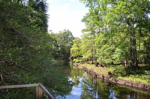 2322 NE Ancient Oaks Dr, Steinhatchee, FL 32359 photo 24