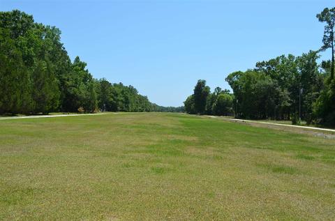 2322 NE Ancient Oaks Dr, Steinhatchee, FL 32359 photo 34