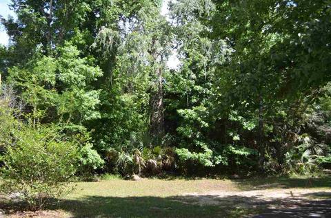 2322 NE Ancient Oaks Dr, Steinhatchee, FL 32359 photo 29