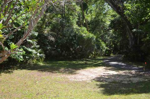 2322 NE Ancient Oaks Dr, Steinhatchee, FL 32359 photo 31