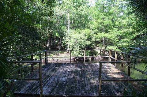 2322 NE Ancient Oaks Dr, Steinhatchee, FL 32359 photo 23