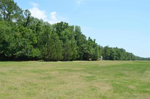 2322 NE Ancient Oaks Dr, Steinhatchee, FL 32359 photo 32