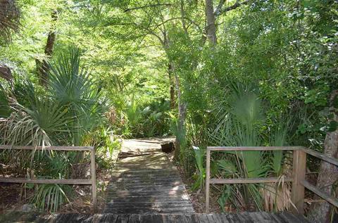 2322 NE Ancient Oaks Dr, Steinhatchee, FL 32359 photo 27