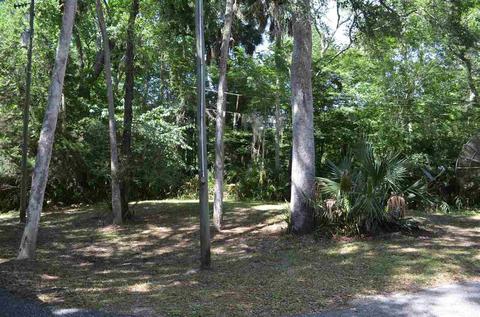2322 NE Ancient Oaks Dr, Steinhatchee, FL 32359 photo 30