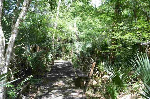2322 NE Ancient Oaks Dr, Steinhatchee, FL 32359 photo 22
