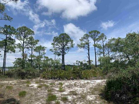 237 Hidden Hbr, Alligator Point, FL 32346 photo 1