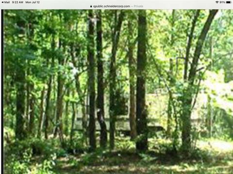 4553 NE Chervil Dr, Lee, FL 32059 photo 5