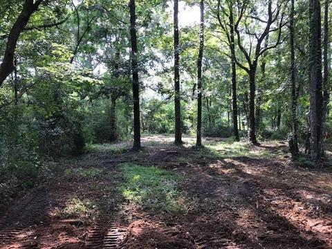 4553 NE Chervil Dr, Lee, FL 32059 photo 10