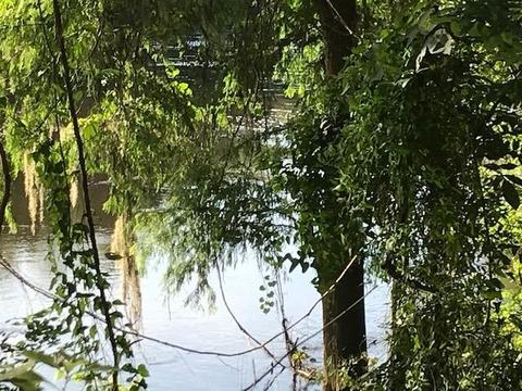 4553 NE Chervil Dr, Lee, FL 32059 photo 13