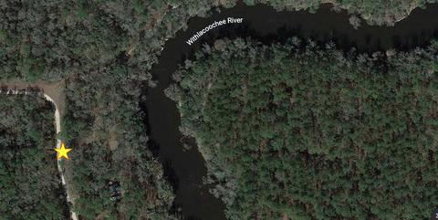 4553 NE Chervil Dr, Lee, FL 32059 photo 9