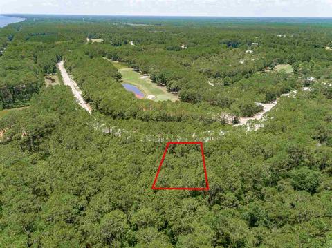 178 Royal Tern Way, Carrabelle, FL 32322 photo 3