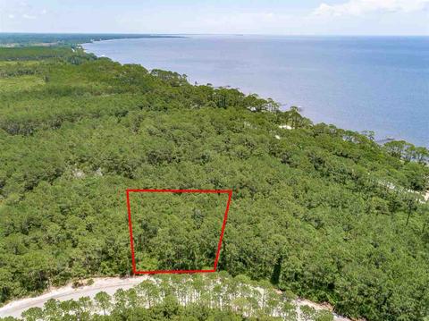178 Royal Tern Way, Carrabelle, FL 32322 photo 1