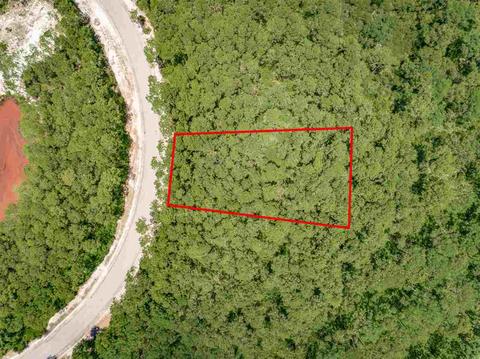 178 Royal Tern Way, Carrabelle, FL 32322 photo 5
