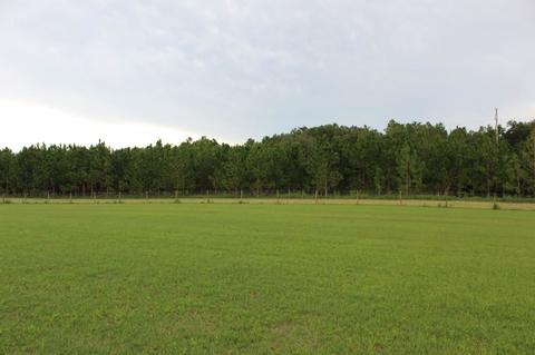 116 SE Baldwin Dr, Lee, FL 32059 photo 31
