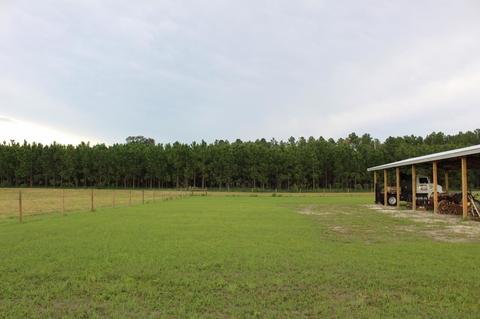 116 SE Baldwin Dr, Lee, FL 32059 photo 33