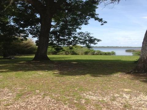 1743 Surf Rd, Panacea, FL 32346 photo 4