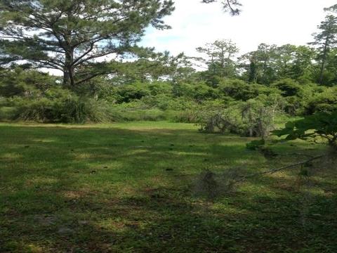 1743 Surf Rd, Panacea, FL 32346 photo 5