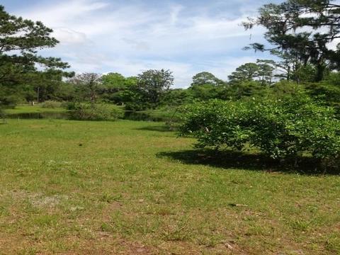 1743 Surf Rd, Panacea, FL 32346 photo 7