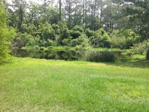 1743 Surf Rd, Panacea, FL 32346 photo 9