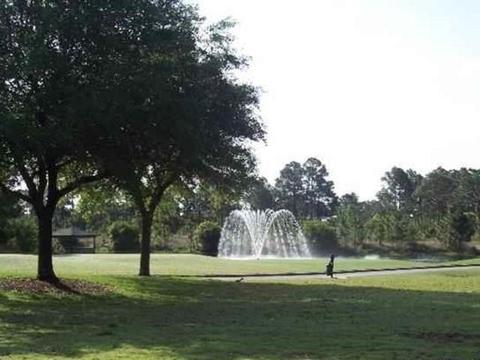120 Plover Ct, Lanark, FL 32323 photo 8