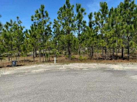 120 Plover Ct, Lanark, FL 32323 photo 4