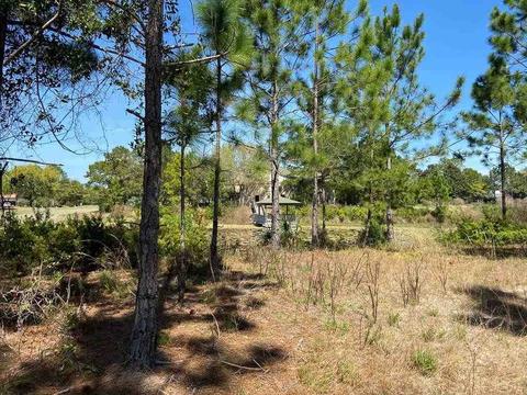 120 Plover Ct, Lanark, FL 32323 photo 2