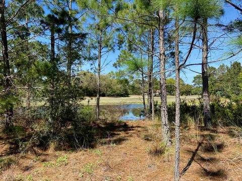 120 Plover Ct, Lanark, FL 32323 photo 1