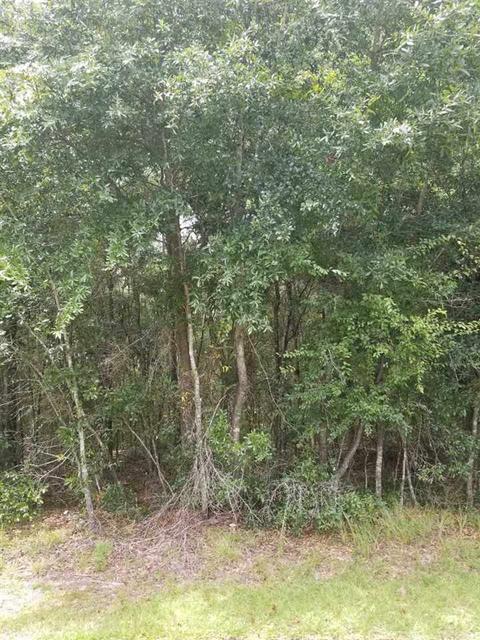 290 Foxfire Ct, Quincy, FL 32351 photo 1