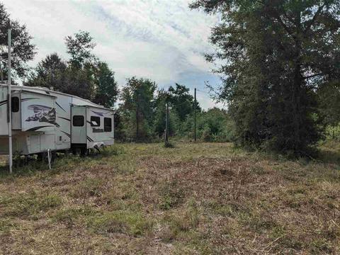 11477 E Us Hwy 90, Lee, FL 32059 photo 11
