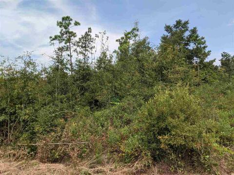 11477 E Us Hwy 90, Lee, FL 32059 photo 4