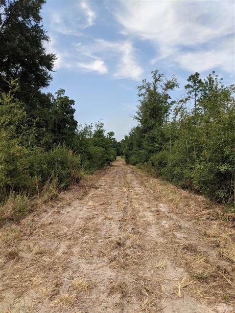 11477 E Us Hwy 90, Lee, FL 32059 photo 5