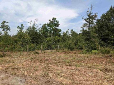 11477 E Us Hwy 90, Lee, FL 32059 photo 12