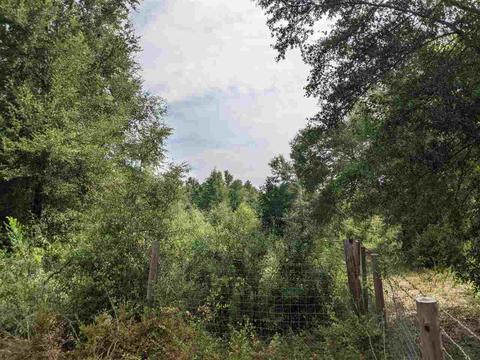 11477 E Us Hwy 90, Lee, FL 32059 photo 19