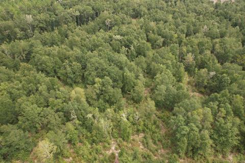 11477 E Us Hwy 90, Lee, FL 32059 photo 25