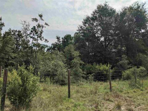 11477 E Us Hwy 90, Lee, FL 32059 photo 24