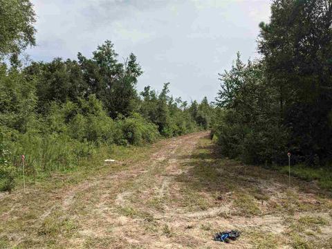 11477 E Us Hwy 90, Lee, FL 32059 photo 6