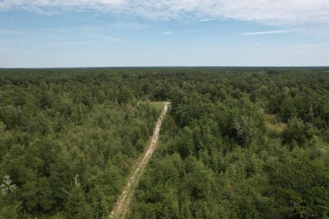 11477 E Us Hwy 90, Lee, FL 32059 photo 14
