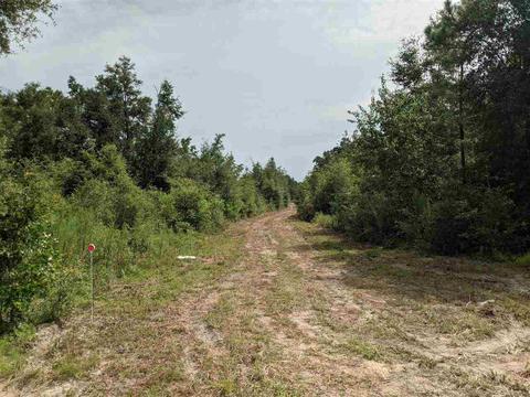 11477 E Us Hwy 90, Lee, FL 32059 photo 10