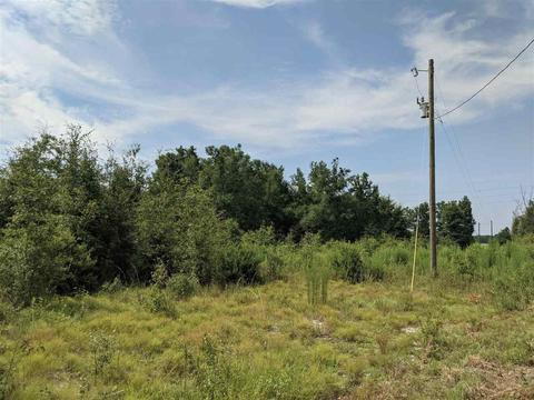 11477 E Us Hwy 90, Lee, FL 32059 photo 22