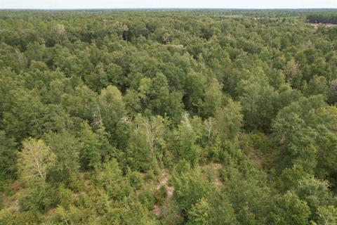 11477 E Us Hwy 90, Lee, FL 32059 photo 28