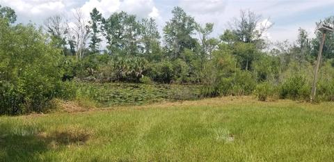 1346 Harold Davis Dr, Perry, FL 32348 photo 3