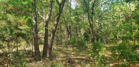 12820 Spring Warrior Rd, Perry, FL 32348 photo 1