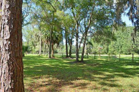 3420 Ma Dixon Rd, Perry, FL 32348 photo 18