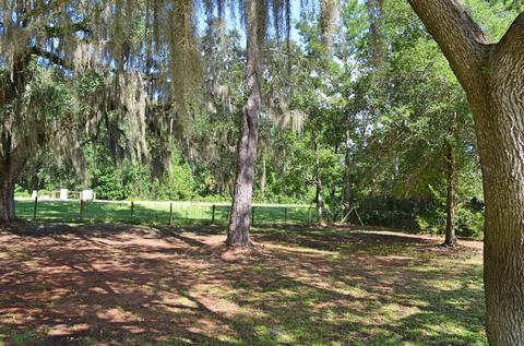 3420 Ma Dixon Rd, Perry, FL 32348 photo 20