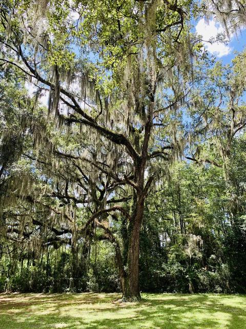 671 Charles E Hendry Rd, Perry, FL 32348 photo 32